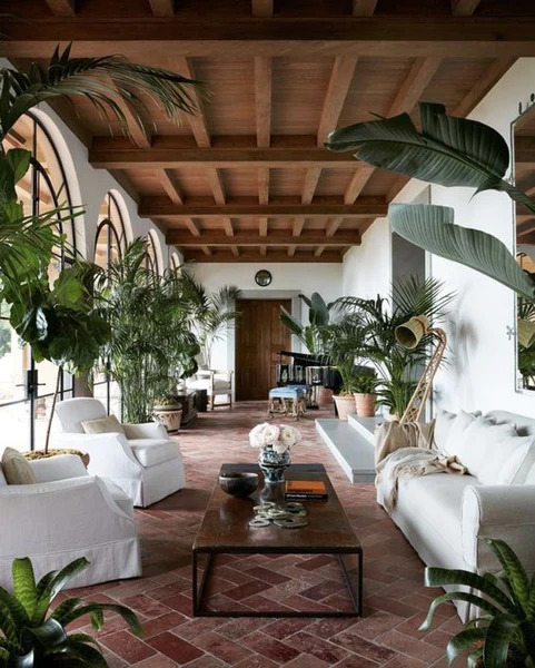 Mediterranean style home with indoor plants used for decoration